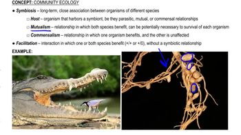 Symbiosis