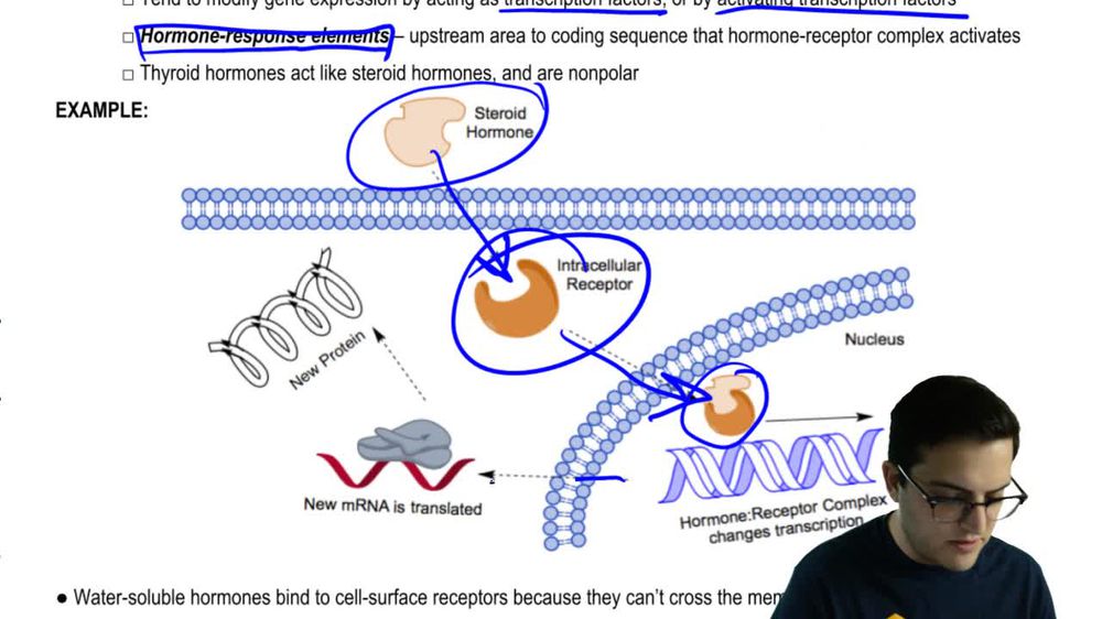 Hormone Signaling