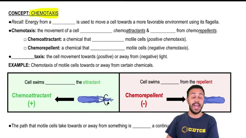 Chemotaxis