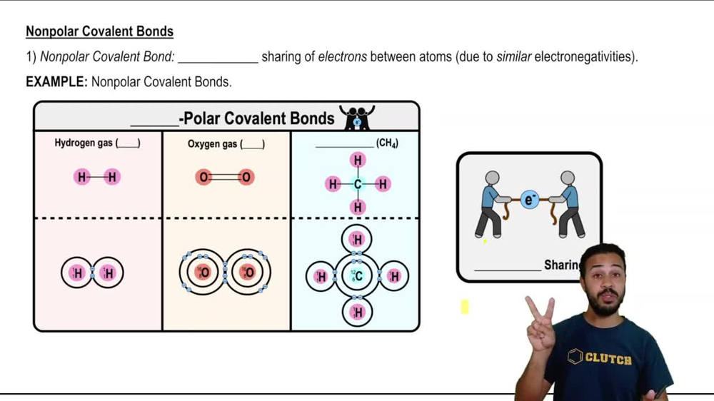 Nonpolar Covalent Bonds