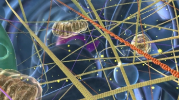 BioFlix: Cytoskeleton