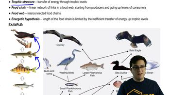Trophic Structure