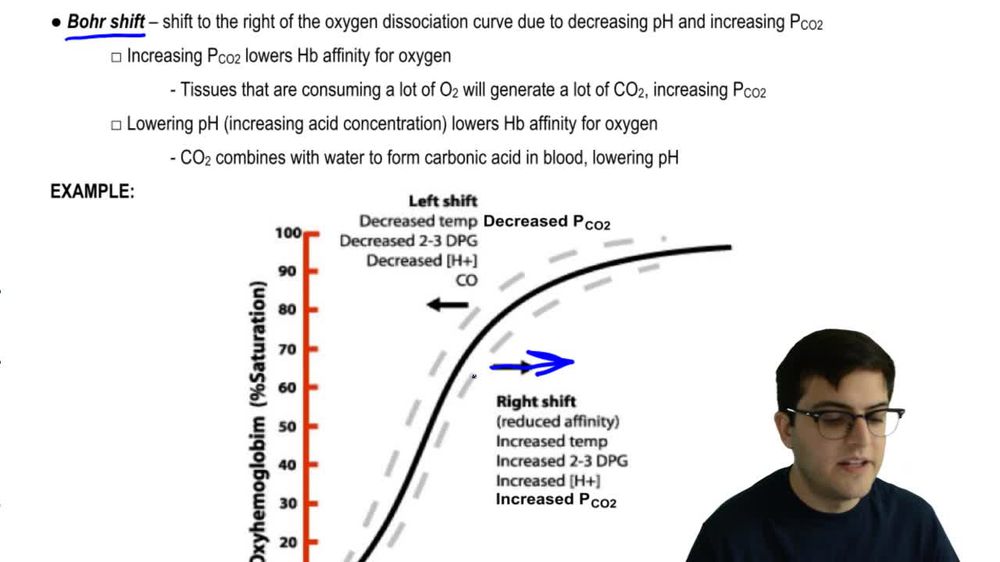 Oxygen Dissociation Curve and the Bohr Shift