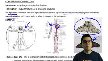 Animal Physiology and Fitness Trade-Offs