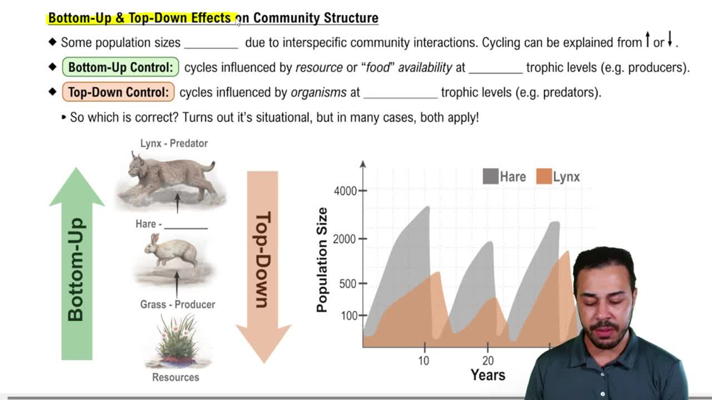 Bottom-Up & Top-Down Effects on Community Structure