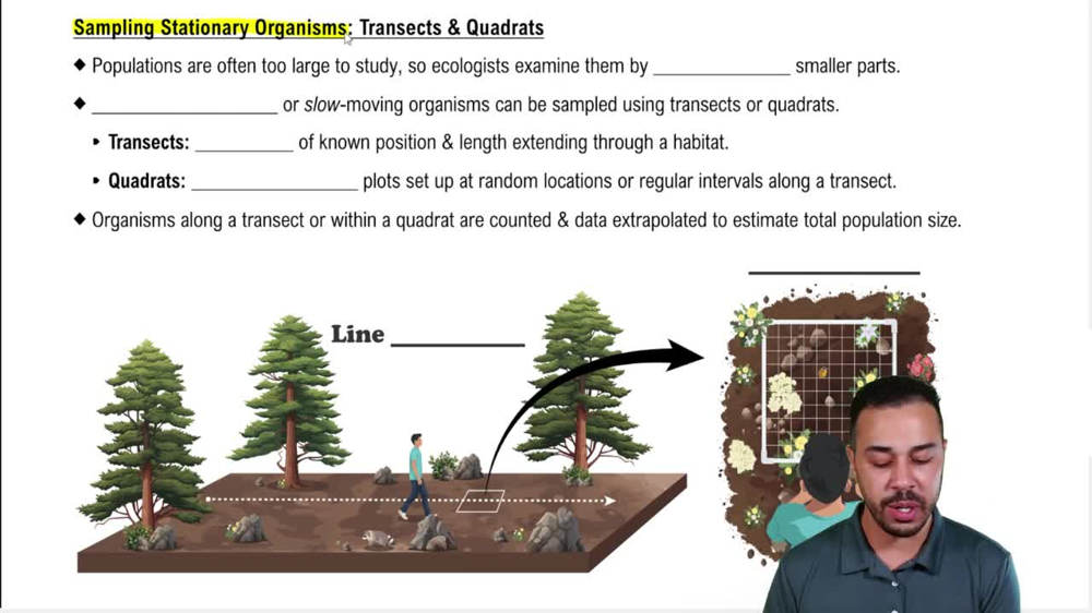 Sampling Stationary Organisms: Transects & Quadrats