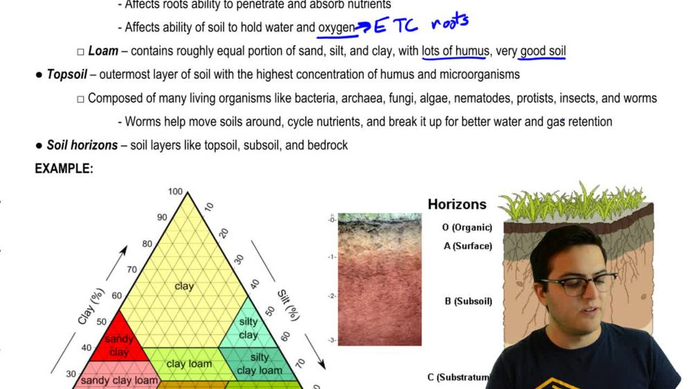 Soil Composition