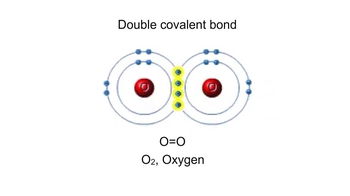 Animation: Covalent Bonds