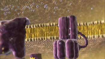 BioFlix: ATP Synthase