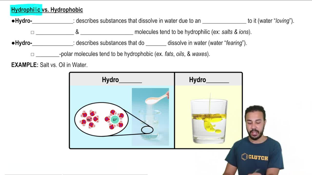 Hydrophilic vs. Hydrophobic