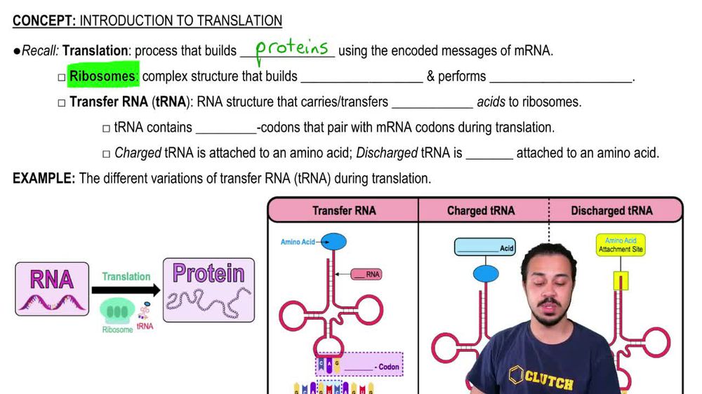 Introduction to Translation