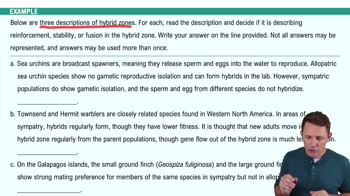 Hybrid Zones Example 1