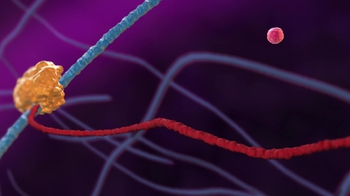 BioFlix: RNA Processing