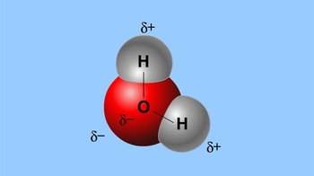 Animation: Polarity of Water