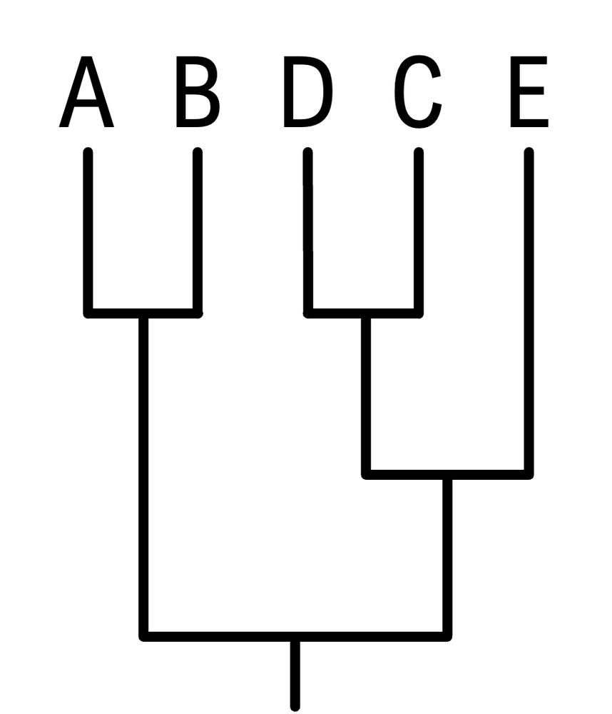 Another phylogenetic tree displaying species A, B, D, C, and E with a different structure.