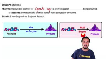 Enzymes