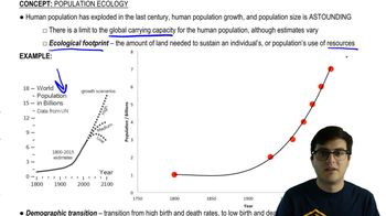 Human Population