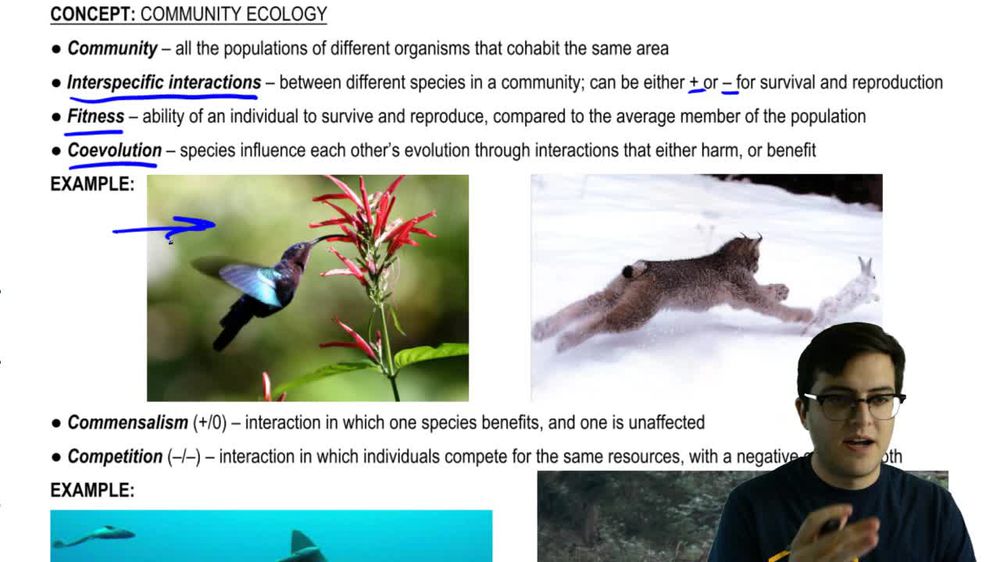 Interspecific Interactions