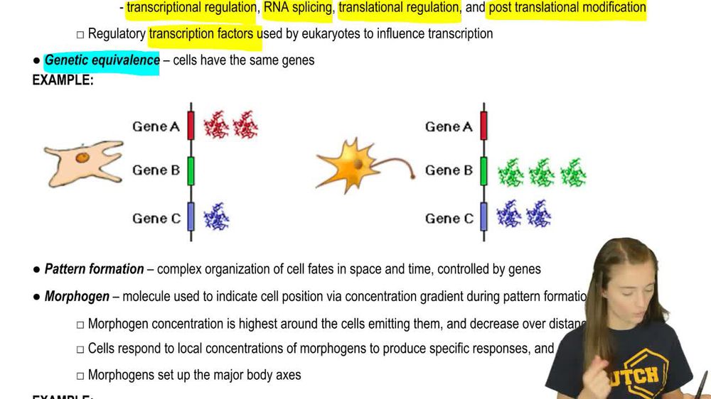 Differential Expression, Morphogens, and Pattern Formation