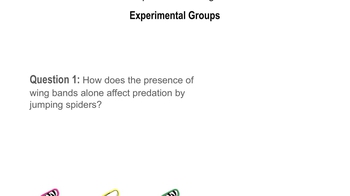 Animation: Introduction to Experimental Design
