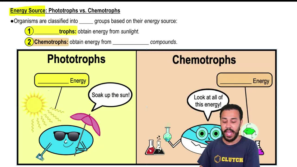 Energy Source: Phototrophs vs. Chemotrophs