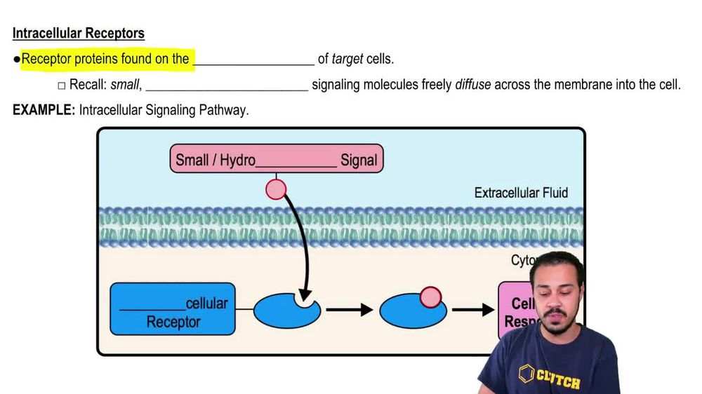Intracellular Receptors