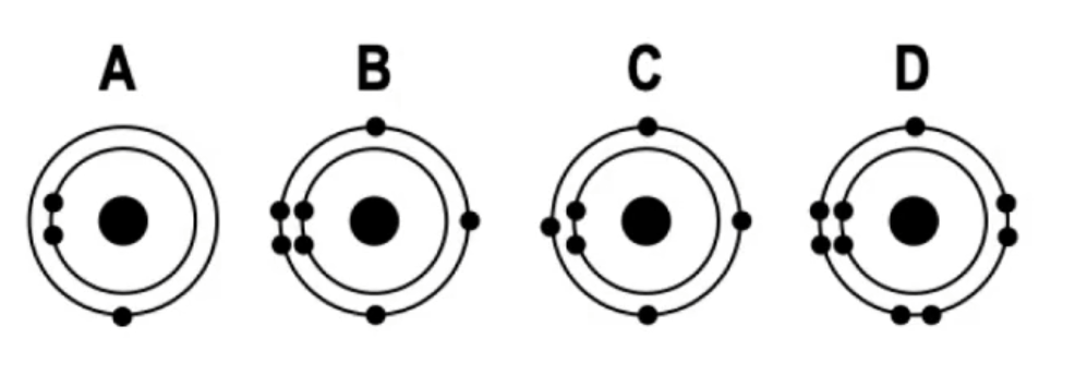 Four atomic models labeled A to D showing electron shells and electrons, asking which atom likely loses one electron.
