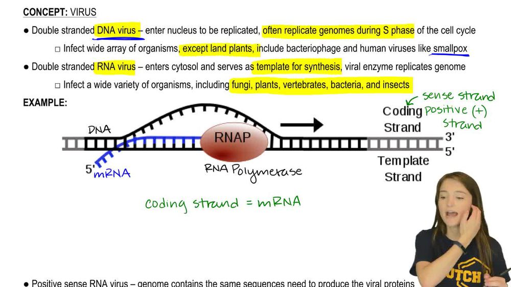Viral Genetics