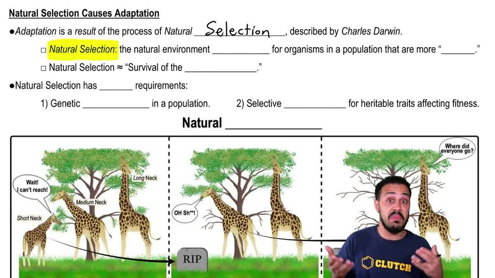Natural Selection Causes Adaptation