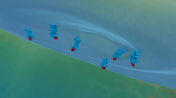 BioFlix: Innate Defenses: Dendritic Cells and Epitope Presentation