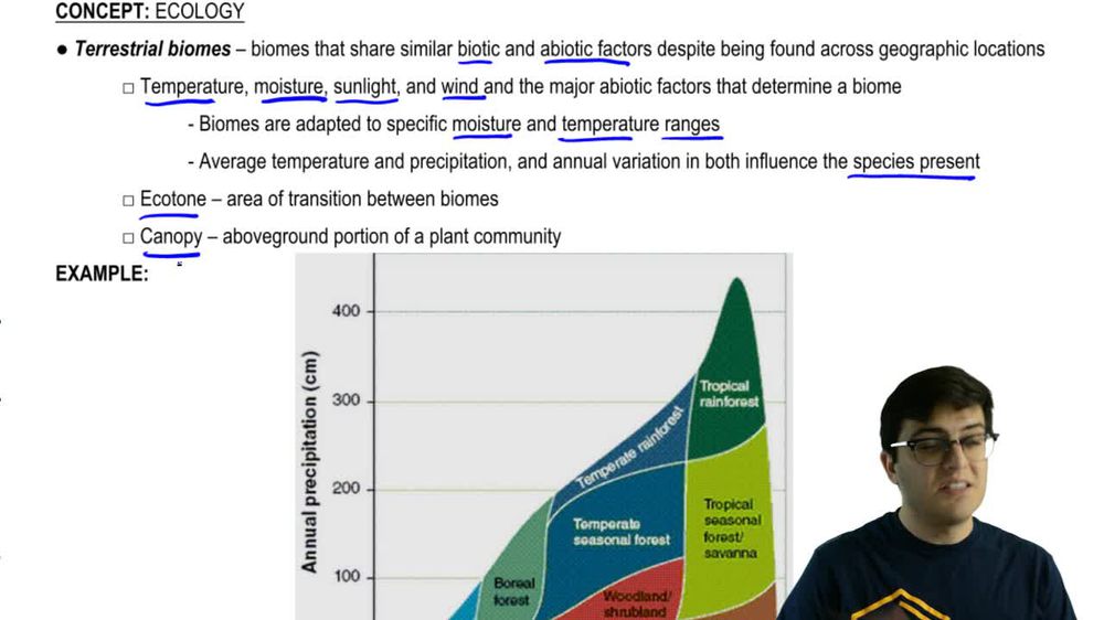Terrestrial Biomes and Tropical Rainforest