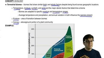 Terrestrial Biomes and Tropical Rainforest