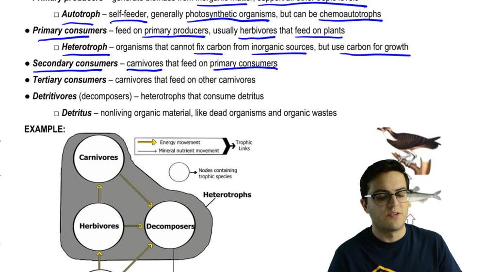 Producers and Consumers