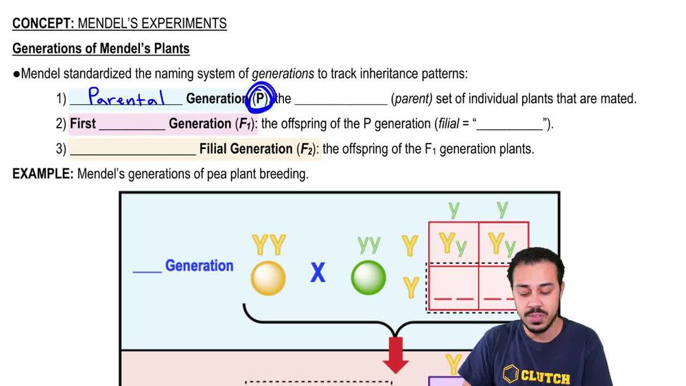 Generations of Mendel’s Plants