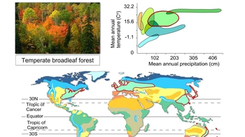 Animation: Terrestrial Biomes
