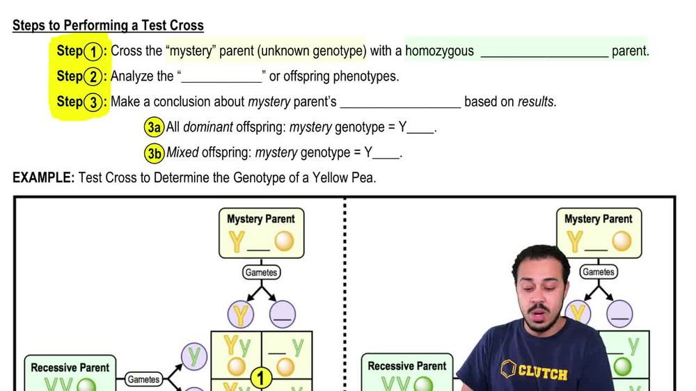 Steps to Performing a Test Cross