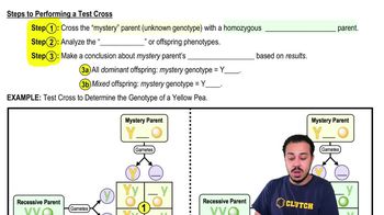 Steps to Performing a Test Cross