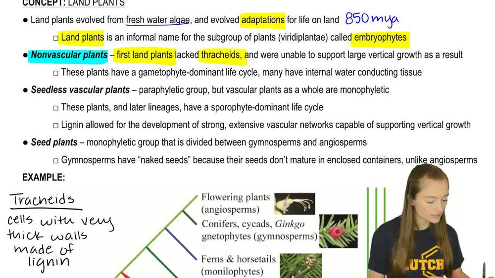 Land Plants