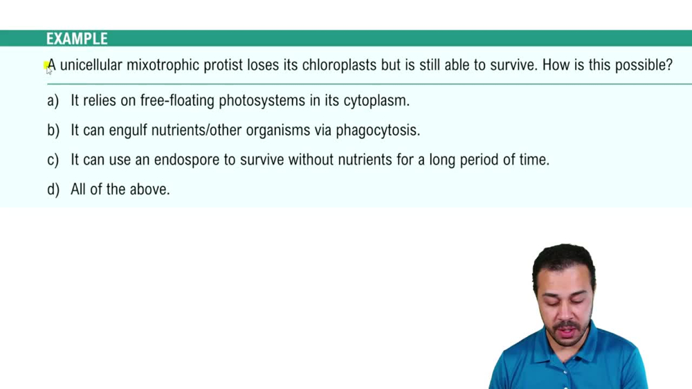 Introduction to Protists Example 2