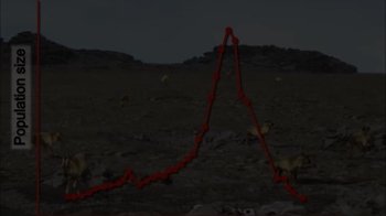 BioFlix: Exponential Growth
