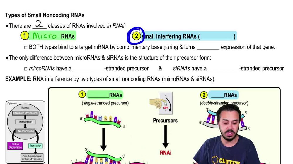 Types of Small Noncoding RNAs