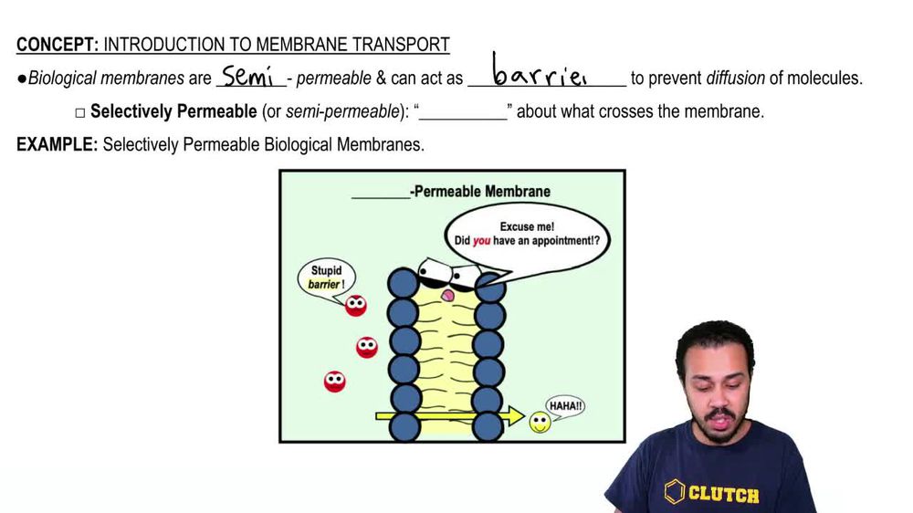Introduction to Membrane Transport