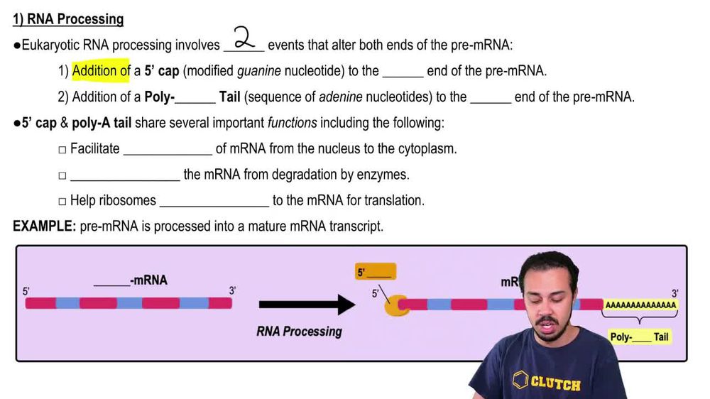 1) RNA Processing