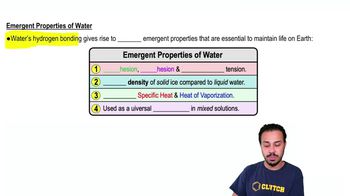 Emergent Properties of Water
