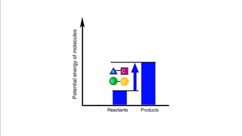 Animation: Energy Coupling