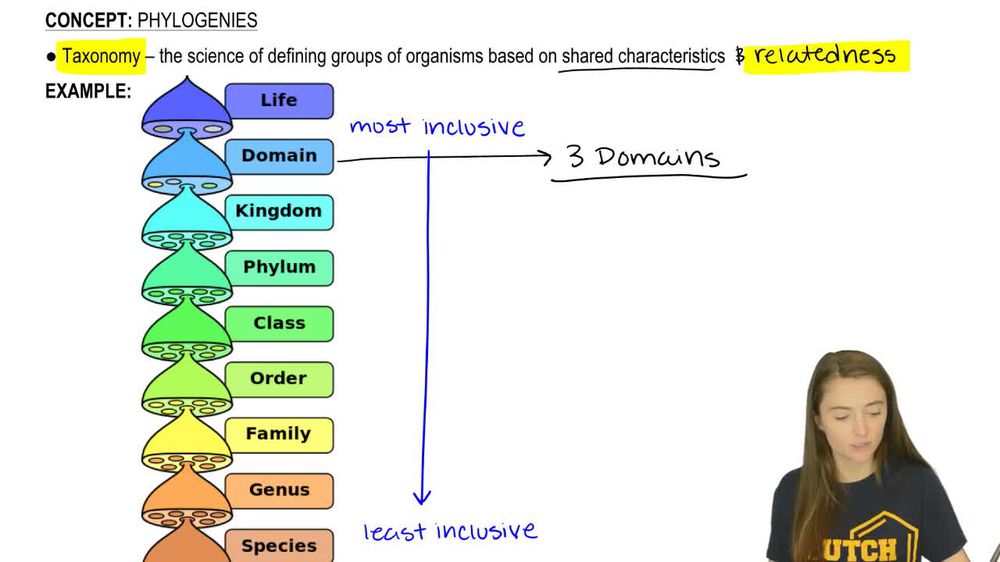 Taxonomy and Phylogeny