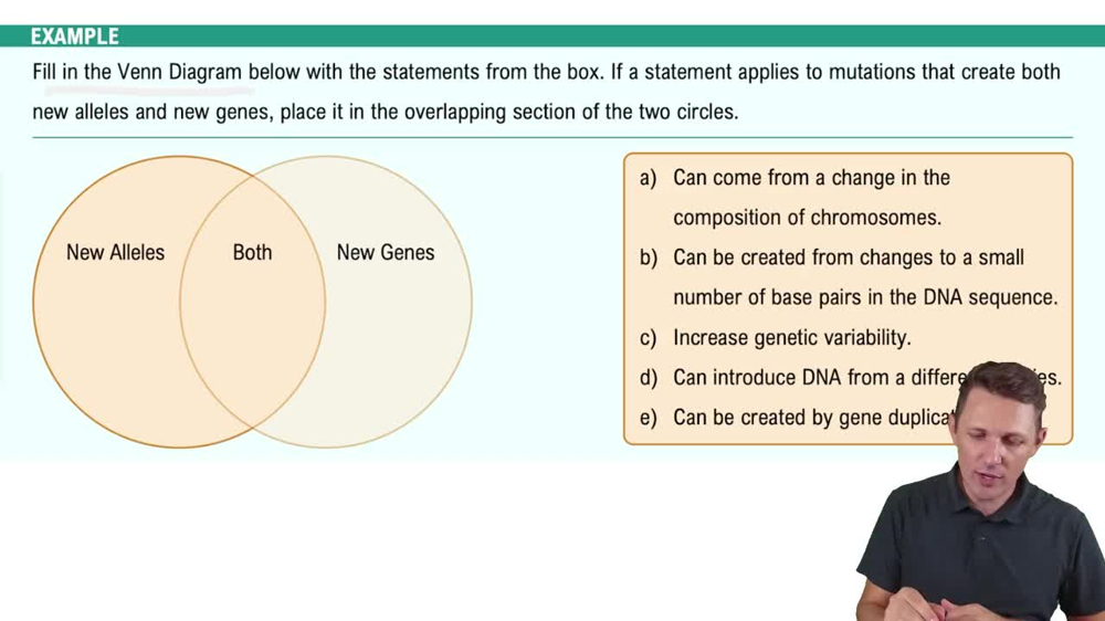 Genetic Variation Example 1