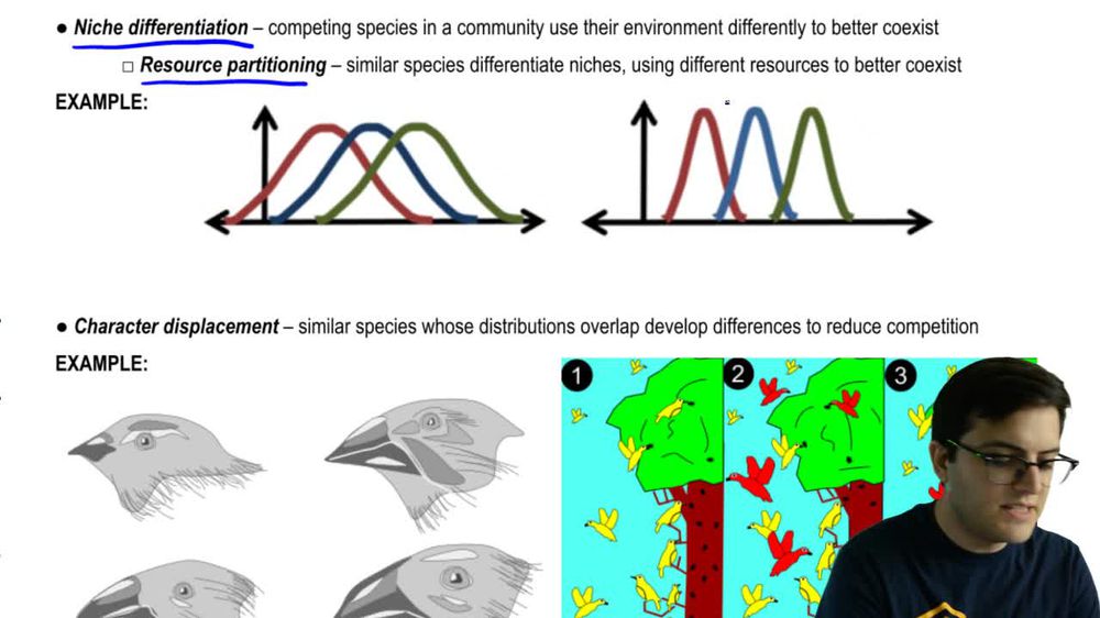 Competitive Exclusion and Niche Differentiation