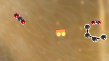 BioFlix: The Citric Acid Cycle