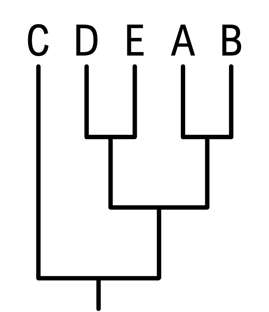Phylogenetic tree with species C, D, E, A, and B illustrating another evolutionary relationship.
